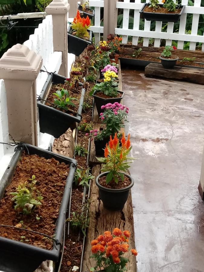Eco Creations Nuwaraeliya Hotel Nuwara Eliya Luaran gambar